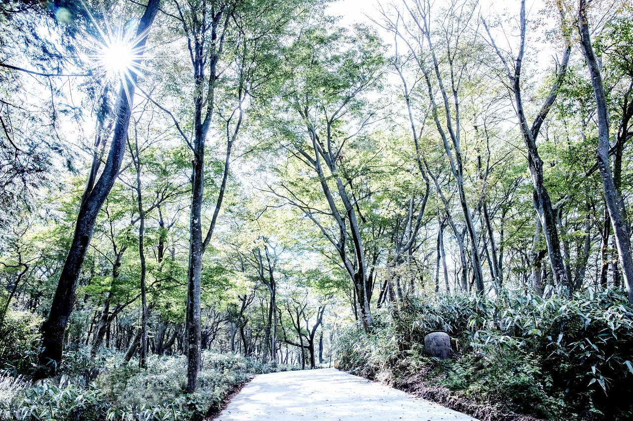 ニコライ・バーグマンが4月15日、箱根・強羅に「NICOLAI BERGMANN HAKONE GARDENS」をオープン